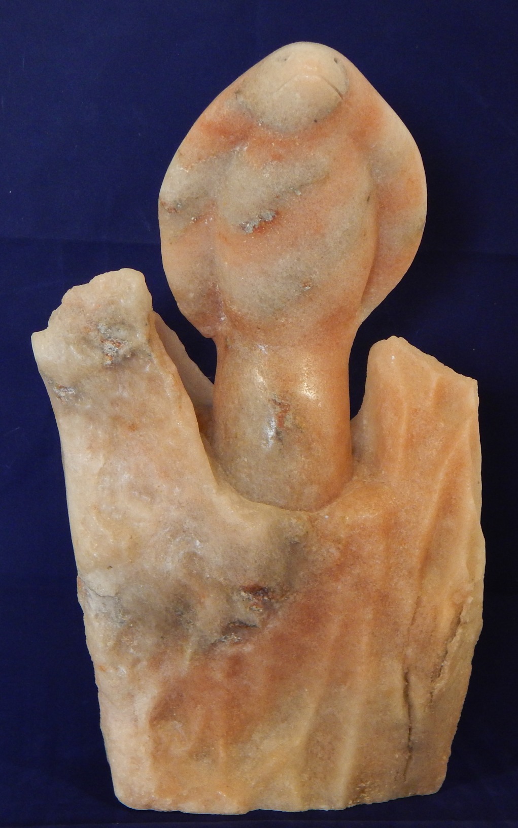 Art Sal nº 41 Busto